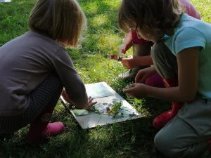 enfants dans l'herbe, ateliers créatifs et cyanotype